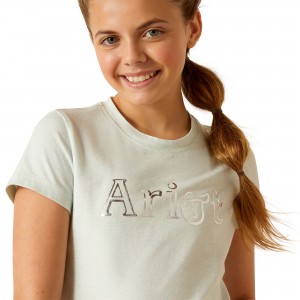 Ariat - Saddle T-Shirt Ariat - Saddle T-Shirt