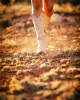 Ariat - Casanova White Western Boot