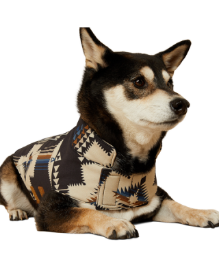 Ariat - Team Softshell Dog Jacket