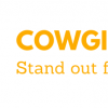 Cowgirl Boots