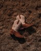 Durango - Ladies Westward™ Embroidered Brown & Cream Western Boot