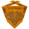 Bandana - Stetson Yellow